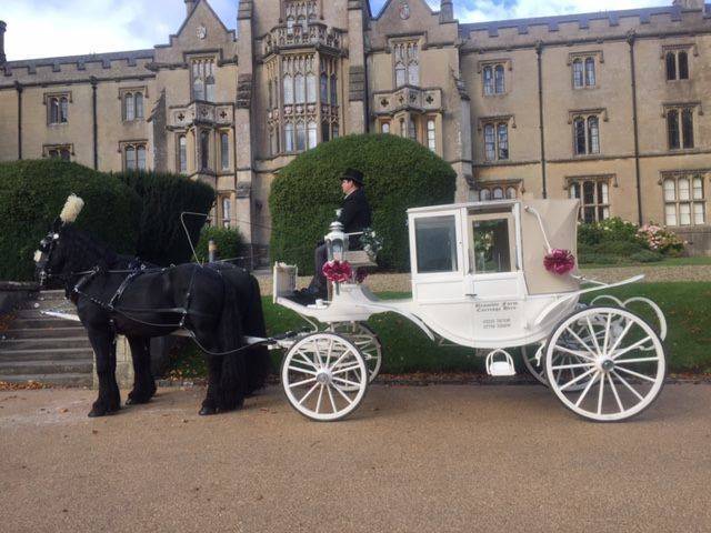 Bramble Farm Carriage Hire for weddings in wiltshire Bramble Farm Carriage Hire horse drawn carriage