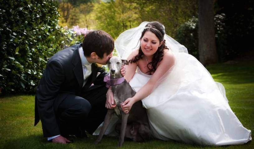 Dog Friendly Weddings | Broadoaks Boutique Country House Hotel Wedding Venue Cumbria