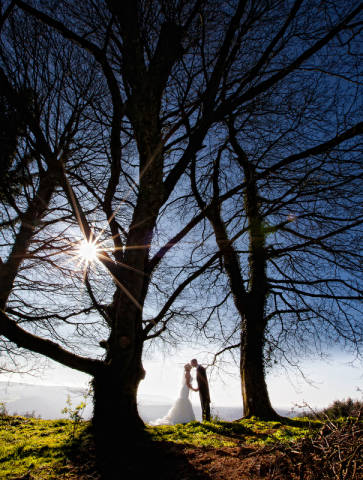 The Horn of Plenty,Venues in Devon