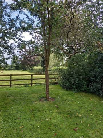Weddings at Orchard Field Venues in Northamptonshire