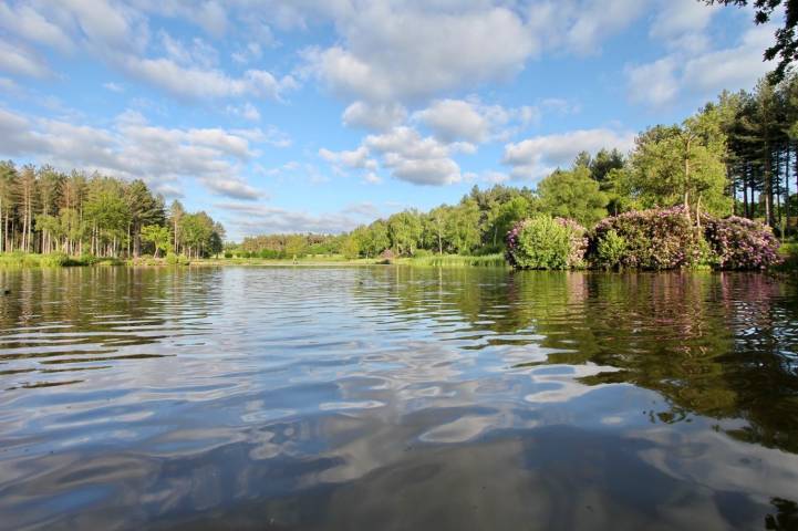 The Perfect Setting down by the Lake