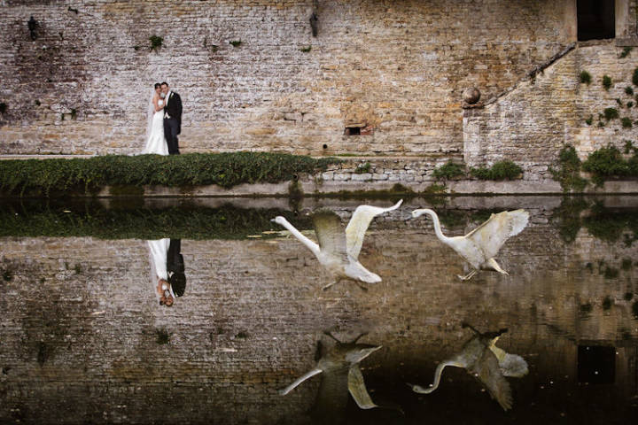 Swans flying at Le Manoir Wedding