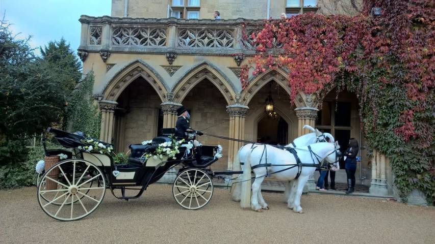 Catherine's Carriage's, Cars and Horse Drawn Carriages in Gloucestershire