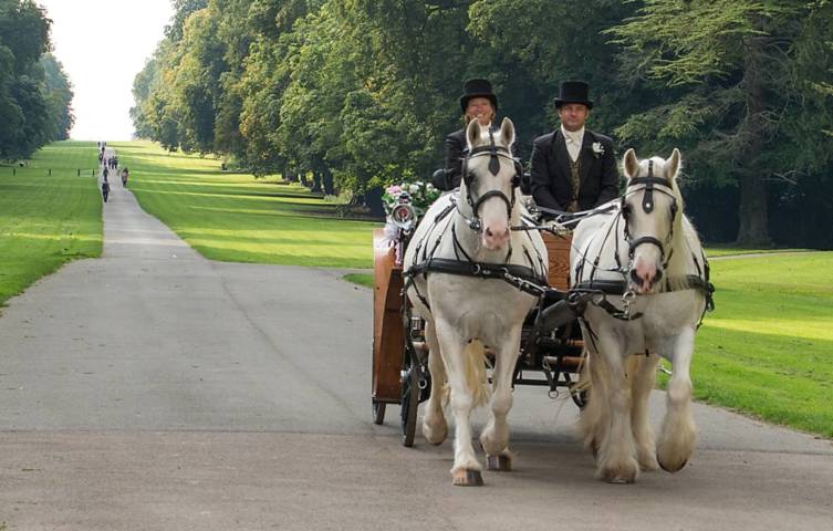 Catherine's Carriage's, Cars and Horse Drawn Carriages in Gloucestershire