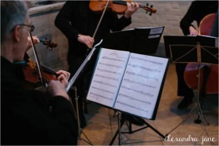 The Cotswold Ensemble, Live Music in Buckinghamshire, (Alexandra Jane Photography)