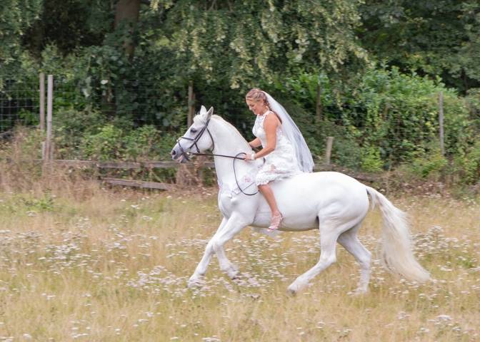 HN Photography.UK Photographers in Essex