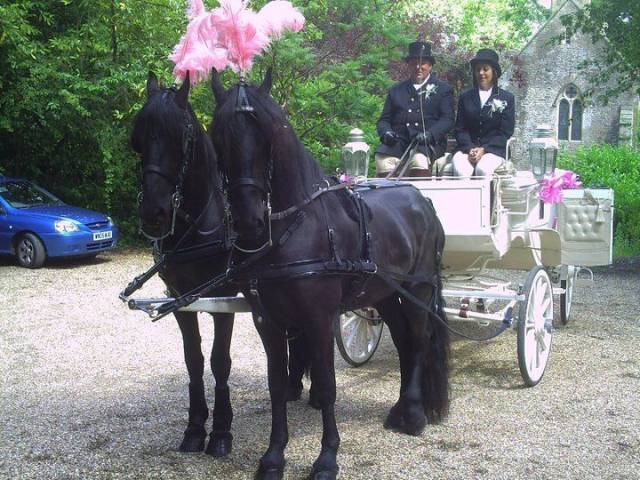 Beautiful horse drawn carriages for your wedding or special event in Wiltshire