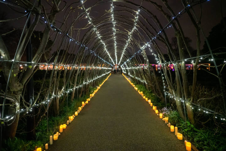 Entrance to the palace through Cradle walk