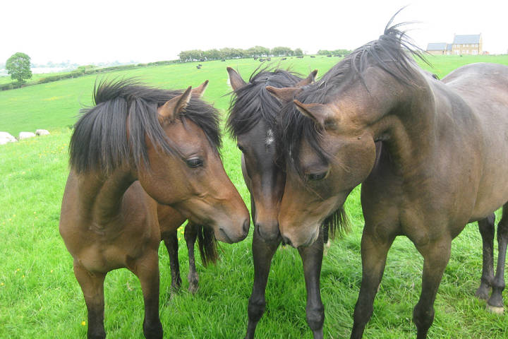 Home Farm Events,Venues in Northamptonshire