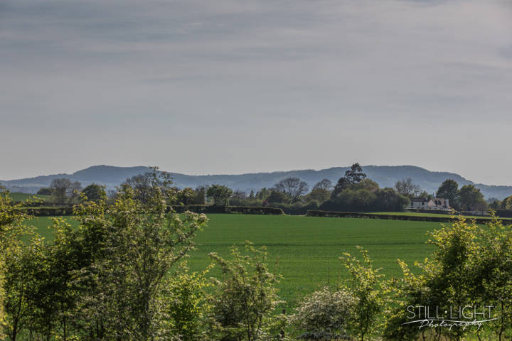 The Granary Hotel & Restaurant,Venues in Worcestershire