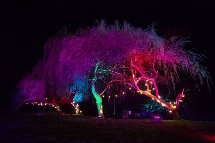 The Wedding DJ's,Discos & DJ's in Suffolk