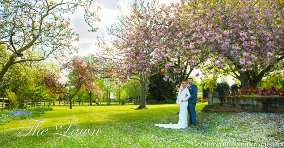 The Lawn,Venues in Essex