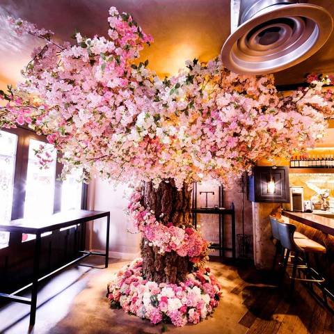 Amie Bone Flowers,Florists in Hertfordshire