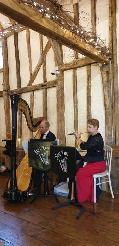 Just Two Flute and Harp Duo Music in Kent