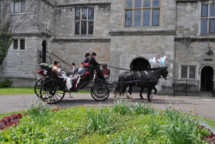 Just Dandy Horse & Carriage,Cars & Horse Drawn Carriages in Kent