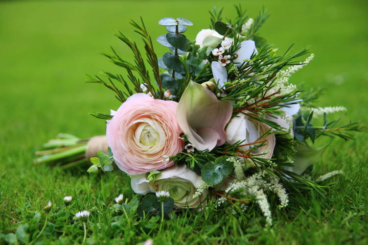 wedding photography halesowen