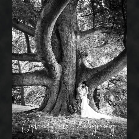 Copland-Cale Photography,Photographers in Surrey