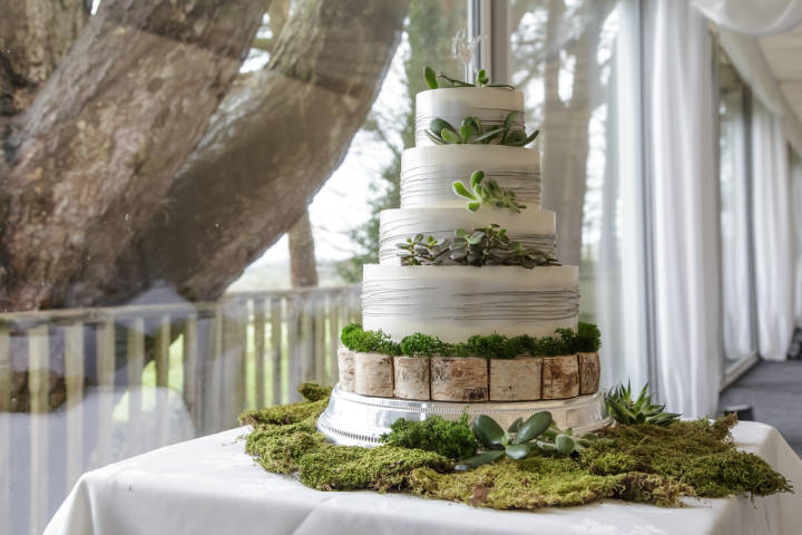 Llechwen Hall Hotel,Venues in South Wales
