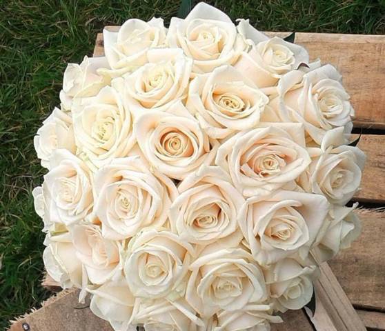 Fleur de Lynn , Florists in Sussex East