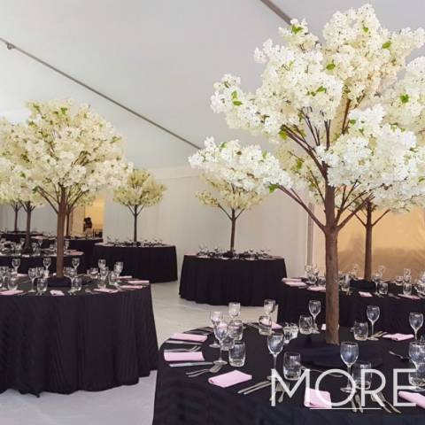 More Weddings,Venue Decor & Furniture Hire in West Midlands