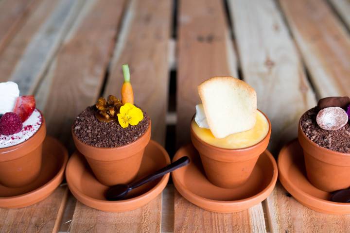 Sandon Hall & Park Venues in Staffordshire