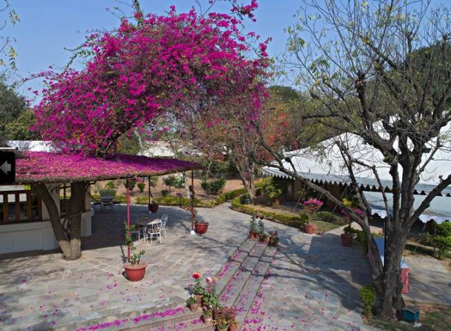 Samode Bagh,Venues in Overseas