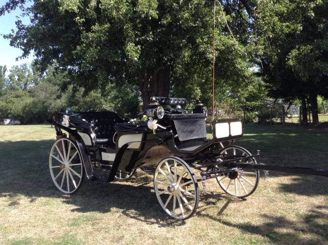 Catherine's Carriage's, Cars and Horse Drawn Carriages in Gloucestershire