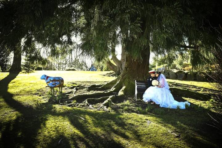 Broadoaks Boutique Country House Venues in Cumbria