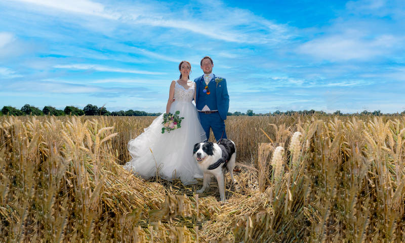 The Wedding Photo Company Photographers in Hampshire