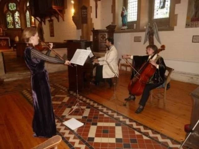 The Cotswold Ensemble, Live Music in Oxfordshire