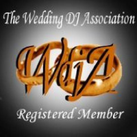 The Hit Squad DJs , Discos in Hampshire