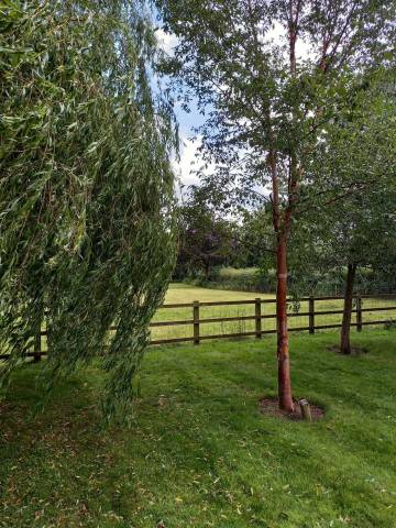 Weddings at Orchard Field Venues in Northamptonshire