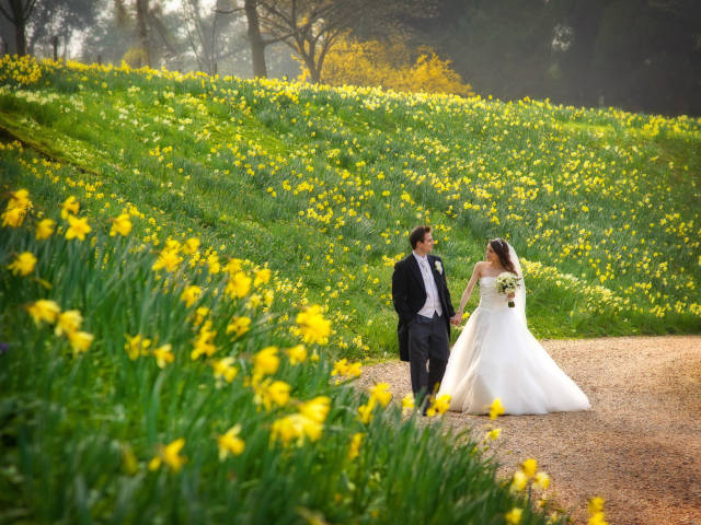 Photographers in Bristol & Somerset