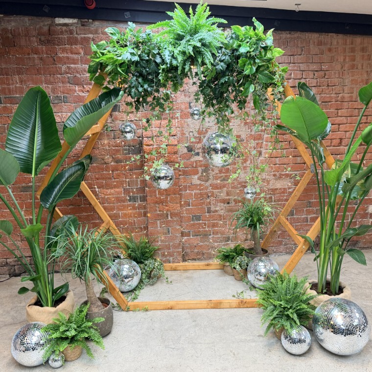 Heaxgon backdrop with live plants and discoballs