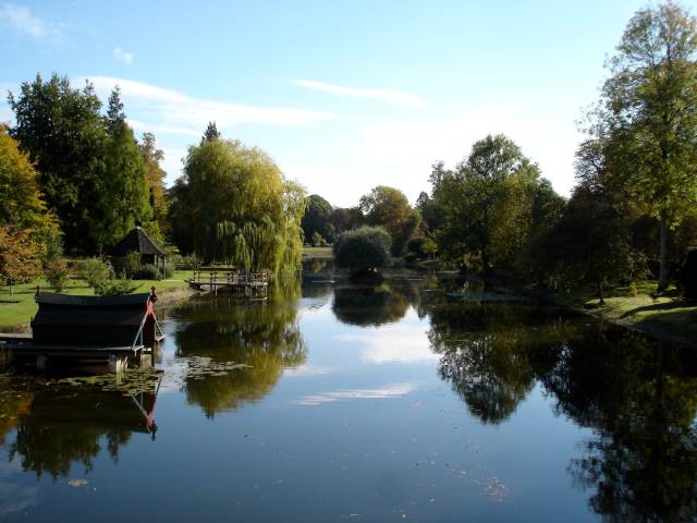 Lakeside View