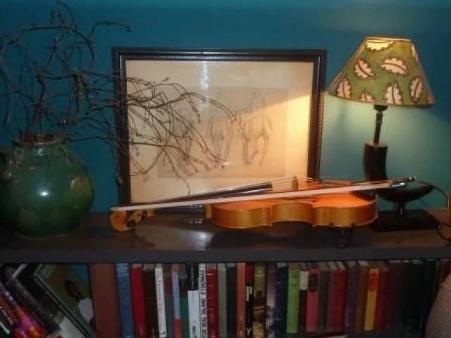 The Cotswold Ensemble, Live Music in Oxfordshire