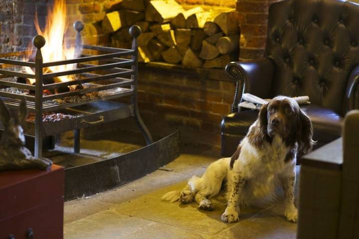 Bell Inn Hotel, Venues in Hampshire