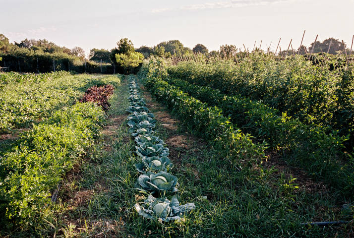 La Posta Vecchia Venues in Overseas