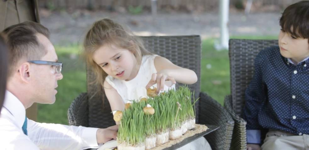 One Forever Films,Videography in West Midlands