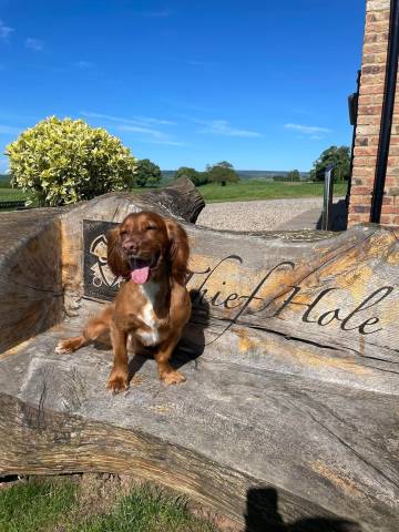 Thief Hall Venues in Yorkshire - North