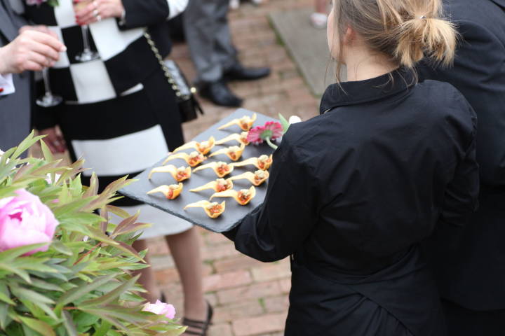 Tortilla Spoons, Salsa, Guacamole