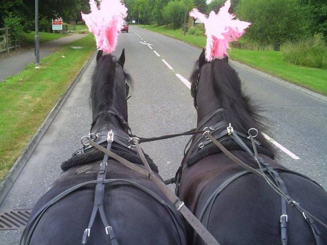Bramble Farm Carriage Hire, Cars and Horse Drawn Carriages in Wiltshire