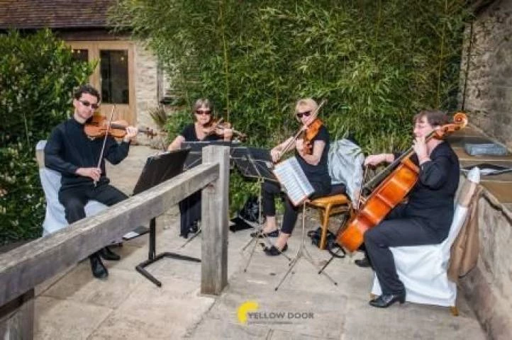 The Cotswold Ensemble, Music in Oxfordshire - photo by Yellow Door Photography