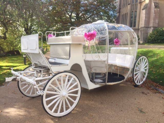 Bramble Farm Carriage Hire cinderella carriage Bramble Farm Carriage Hire glass carriage Bramble Far