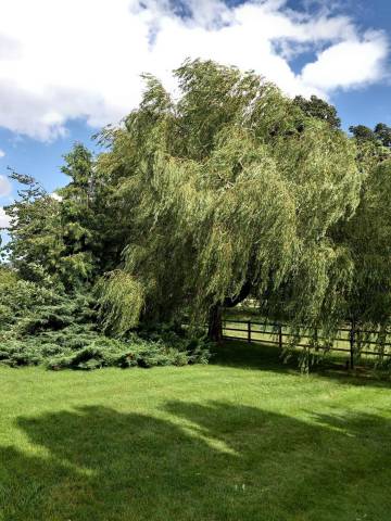 Weddings at Orchard Field Venues in Northamptonshire