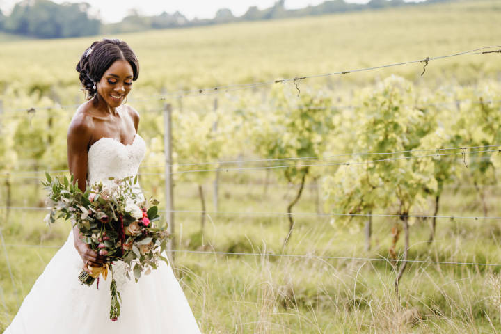 Denbies Wine Estate Venues in Surrey
