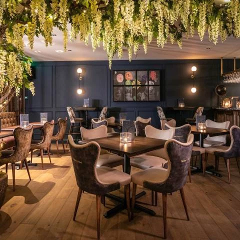 Orchid City & Spa Hen & Stag in Bristol and Somerset