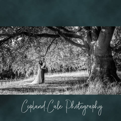 Copland-Cale Photography,Photographers in Surrey
