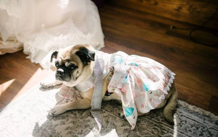 Broadoaks Boutique Country House Venues in Cumbria