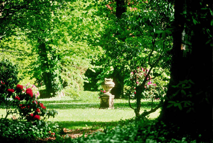 Camellia Garden, Port Eliot, Venues in Cornwall and Isles of Scilly